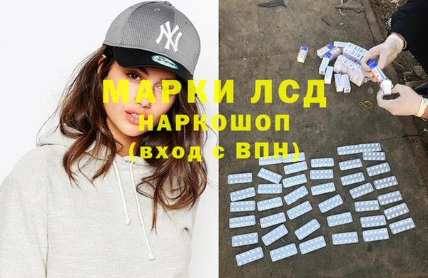 индика Осинники