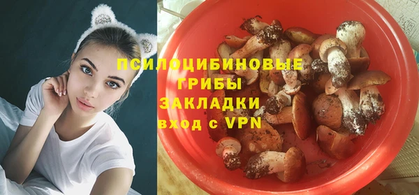 гидропоника Переславль-Залесский