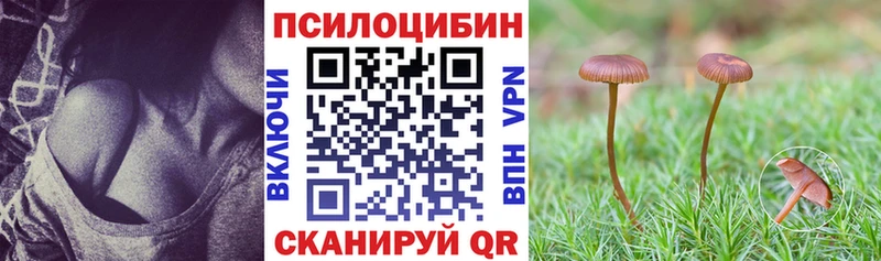 Псилоцибиновые грибы GOLDEN TEACHER  закладка  Клин 